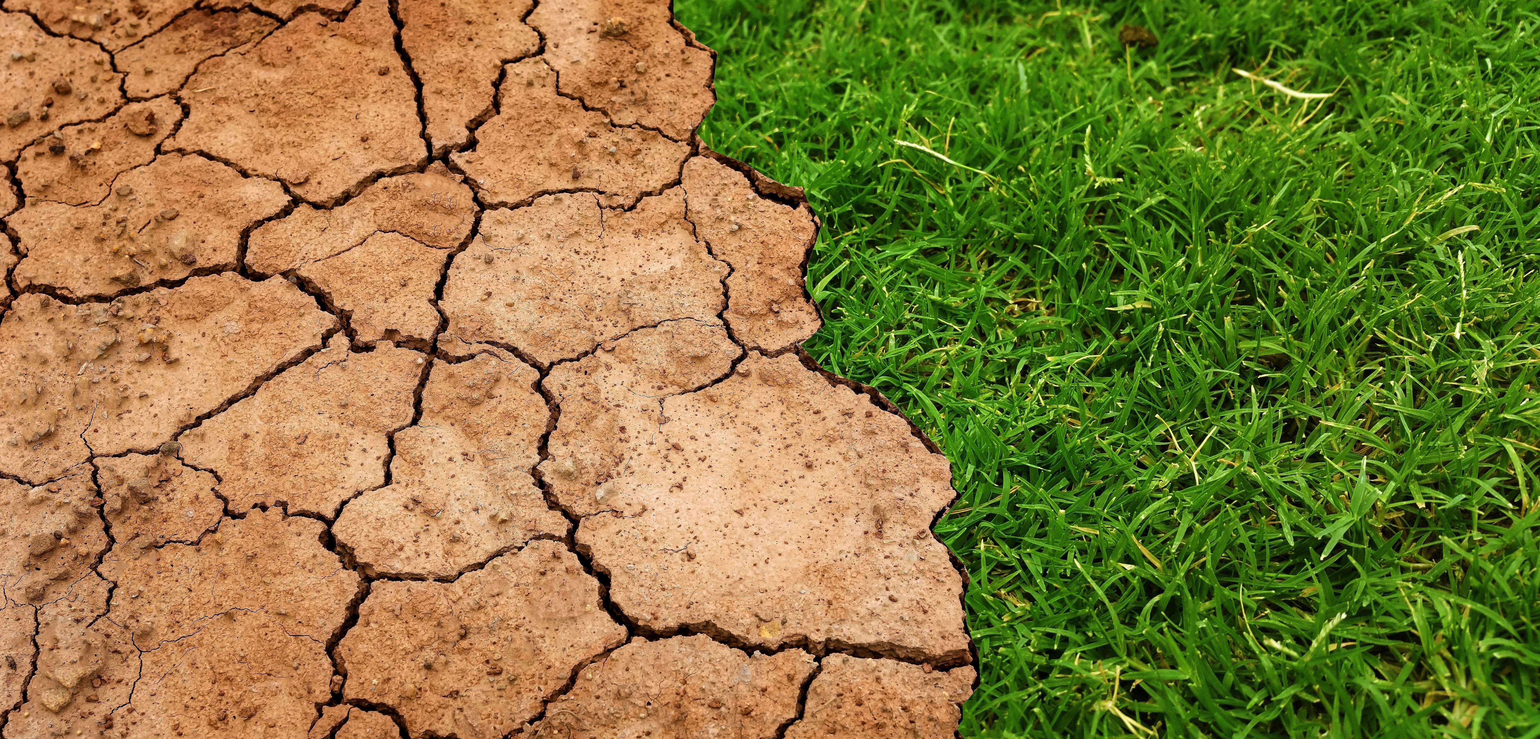 Business Transformation